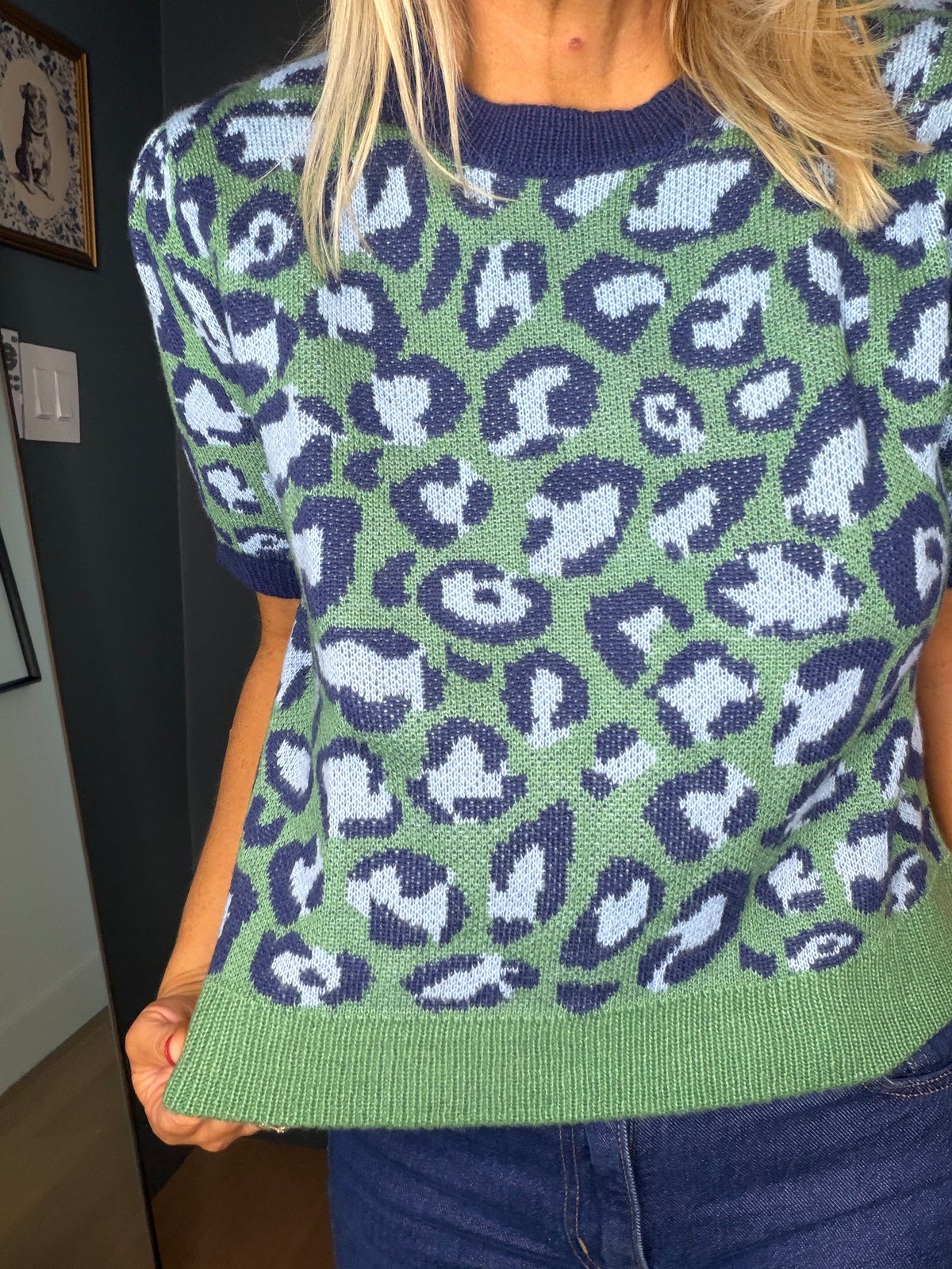 Leopard Knit Top
