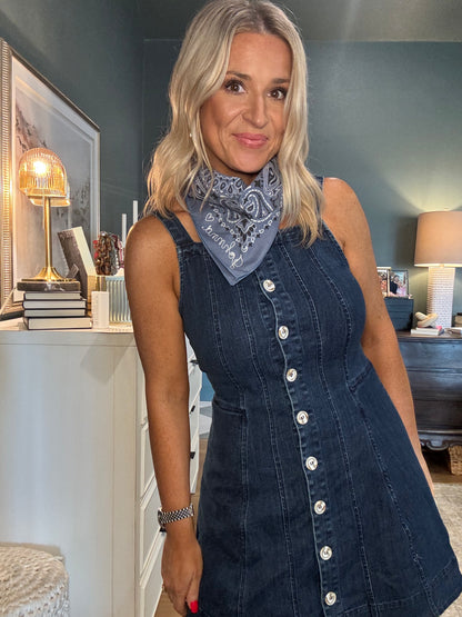 Dancy Denim Dress- FINAL SALE